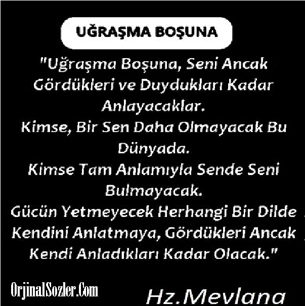 Insanoglu Resimli Nasihat Sozleri Ilham Veren Alintilar Guzel Soz Alintilar